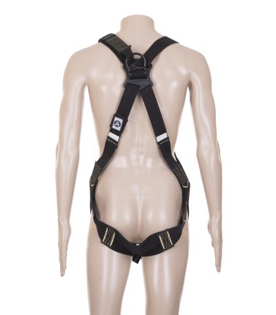 dvx03f-vid-szadi-scaled